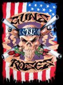Artwork guns_n_roses logo flag skull