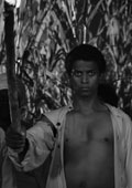 Black Zombie (2026)