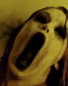 Autres cinema_and_tv slasher_films nothing_to_fear nltf1