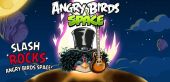 Autres jeux_videos angrybirds slashbird5