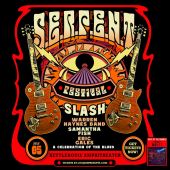 Concert Blues_ball 2024 0705_bonner poster