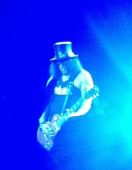Concert solo 2012 0928_chicago slash6
