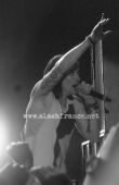 Concert solo 2014 1120_cracovie 10787_10152444789571921_8527541812810717547_n hd