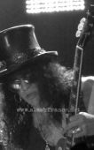 Concert solo 2014 1120_cracovie 63461_10152444789166921_7356508081485123235_n hd
