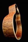 Gear guitares autres_guitares joi 7