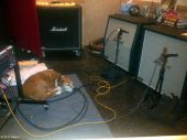 Slash solo 2011_2011_recording_slash slashdog