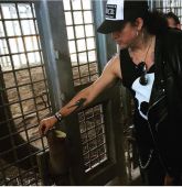 Slash solo 2015 0713_san_diego_zoo 2