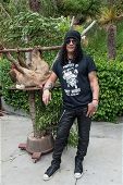 Slash solo 2016 0610_la_zoo 8